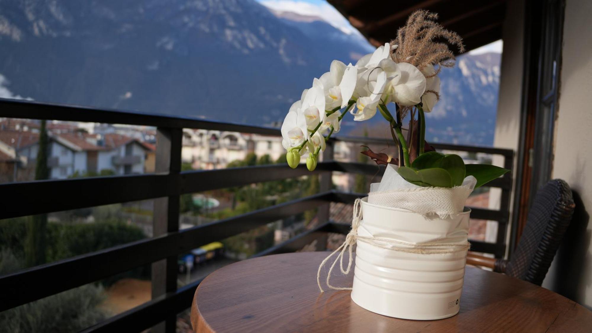 Residence La Colombera ริวาเดลการ์ดา ห้อง รูปภาพ